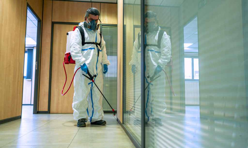 servicio de fumigacion